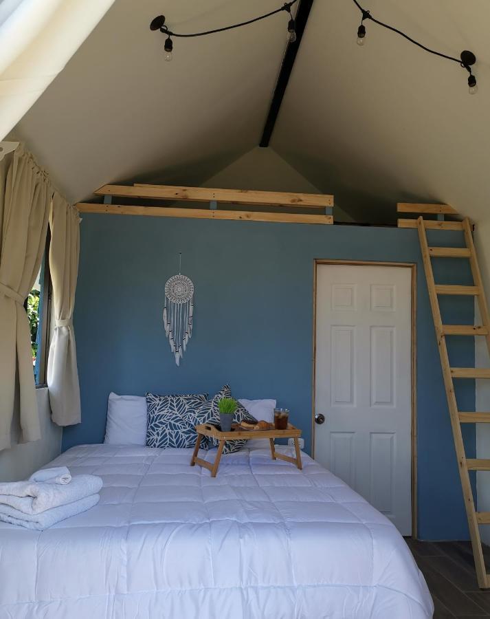 Tiny House Dreamcatcher Sarchi Exterior photo